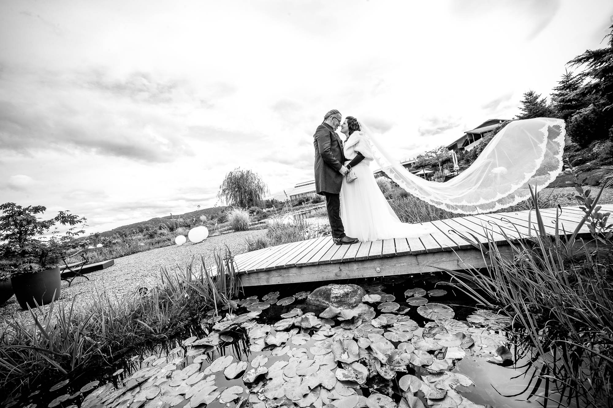 Export x3 1DX28574 Hochzeit 2020 Claudia & Thomas 2